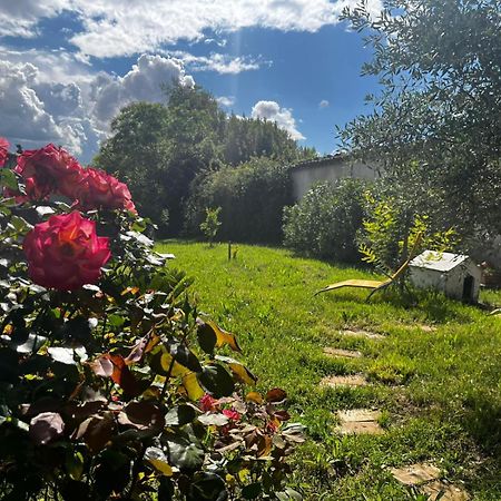 Gite De L'Olivier Nyons Dış mekan fotoğraf