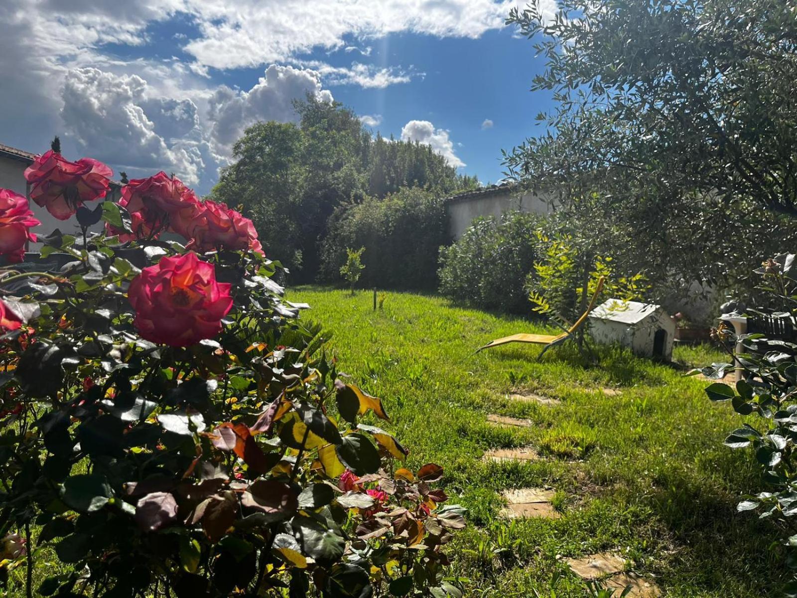 Gite De L'Olivier Nyons Dış mekan fotoğraf